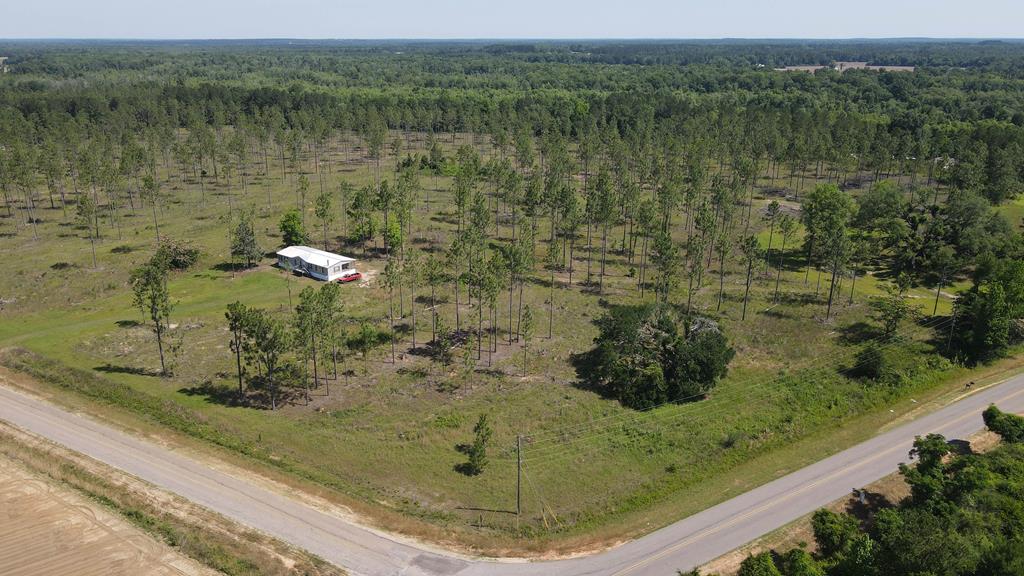 0 State Line Road Cottonwood, AL 36320 - Photo 1 of 27