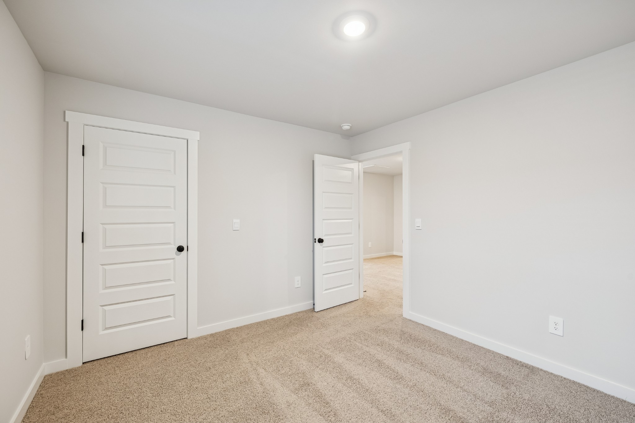 424 Wild Iris Way Spring Hill, TN 37174 - Photo 33 of 87