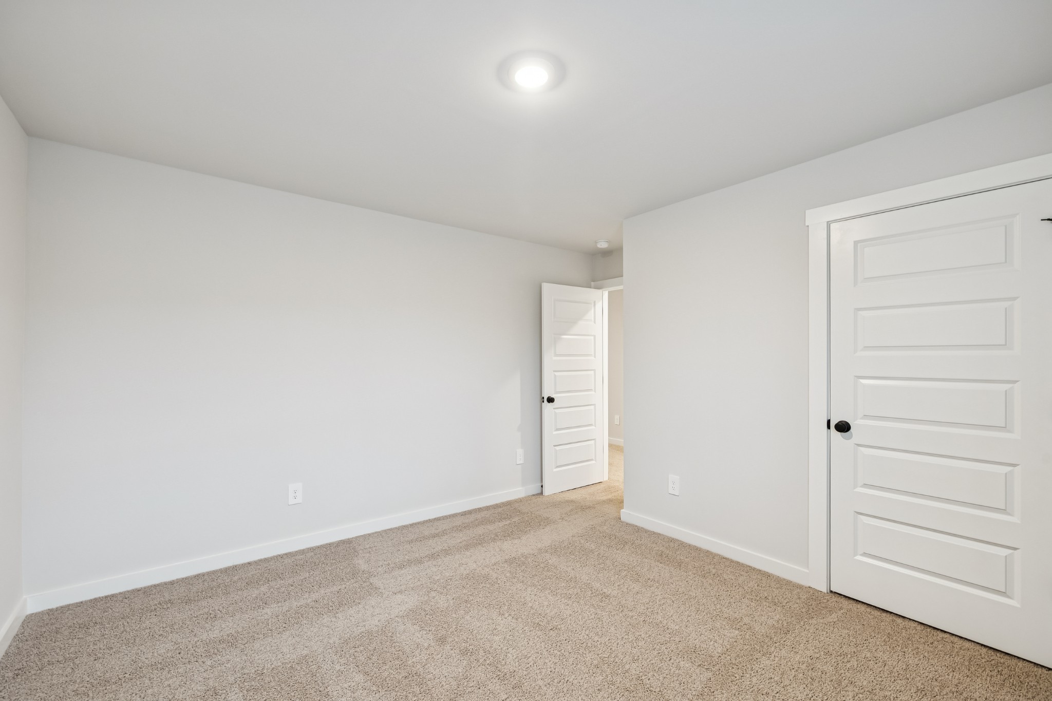 424 Wild Iris Way Spring Hill, TN 37174 - Photo 36 of 87