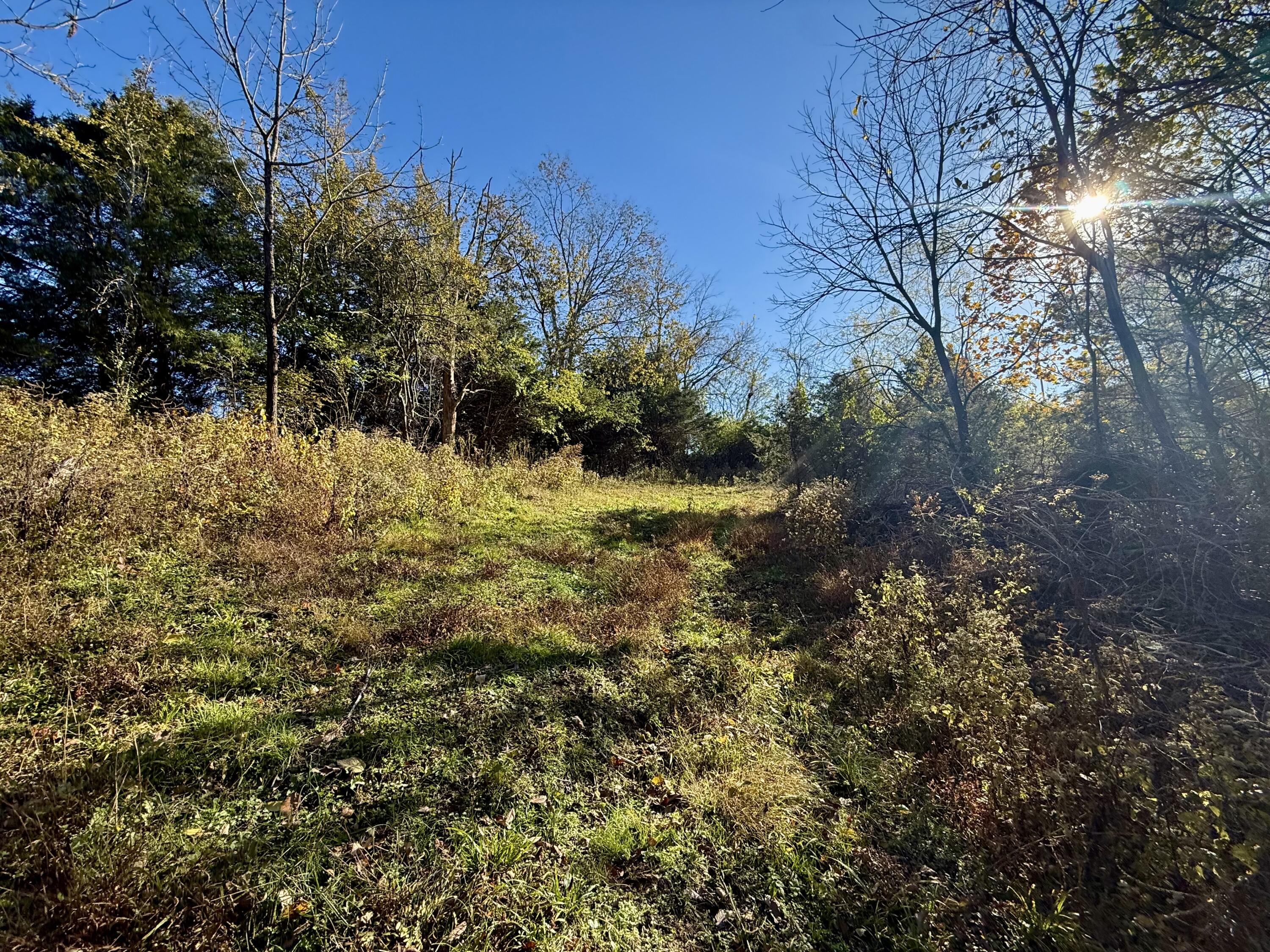 929 Fisher Road Foster, KY 41043 - Photo 10 of 49