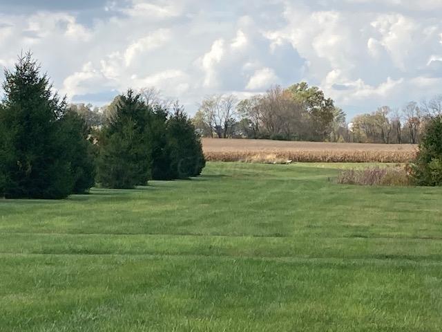 0 Waterloo Road Northwest Canal Winchester, OH 43110 - Photo 2 of 17