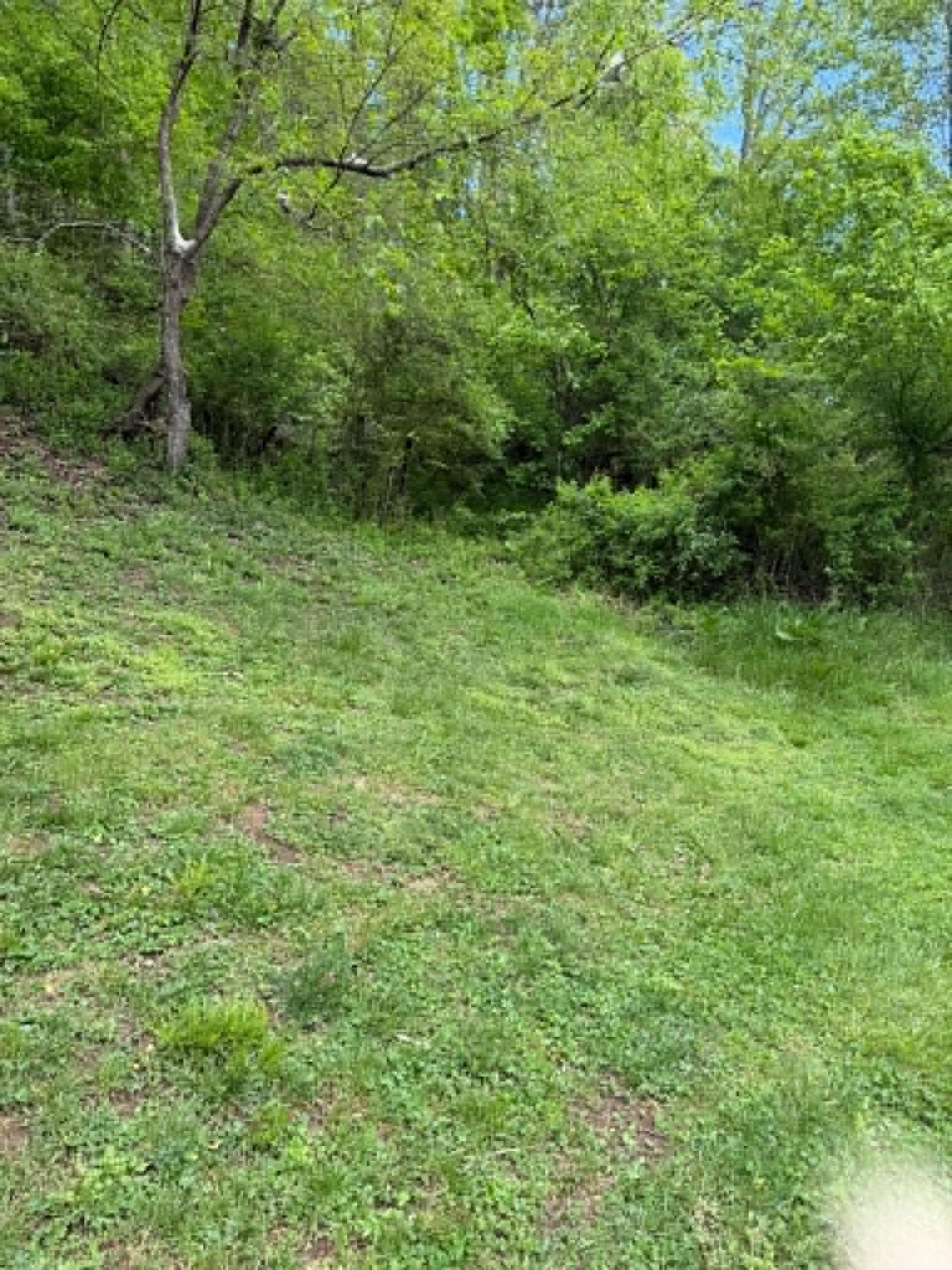 6809 Johnson Fork Road Catlettsburg, KY 41129 - Photo 40 of 42