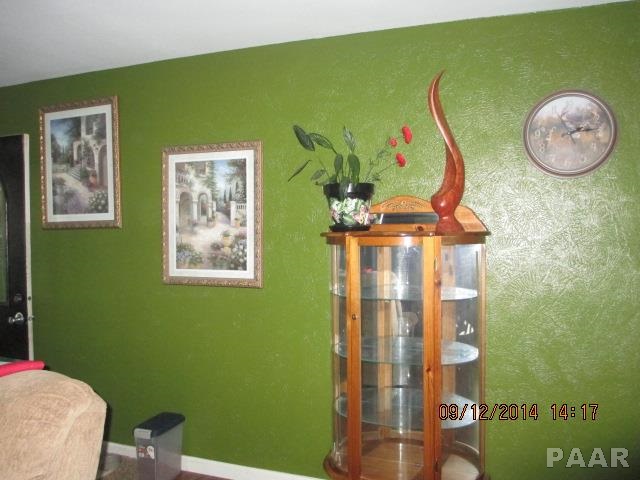 201 Decatur Road Marquette Heights, IL 61554 - Photo 7 of 27 Gallery Image 7