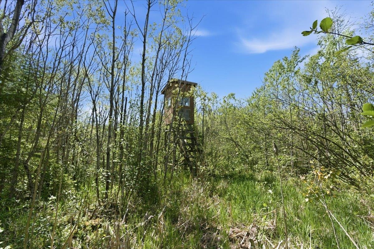 0 County Highway J Deerbrook, WI 54424 - Photo 4 of 78