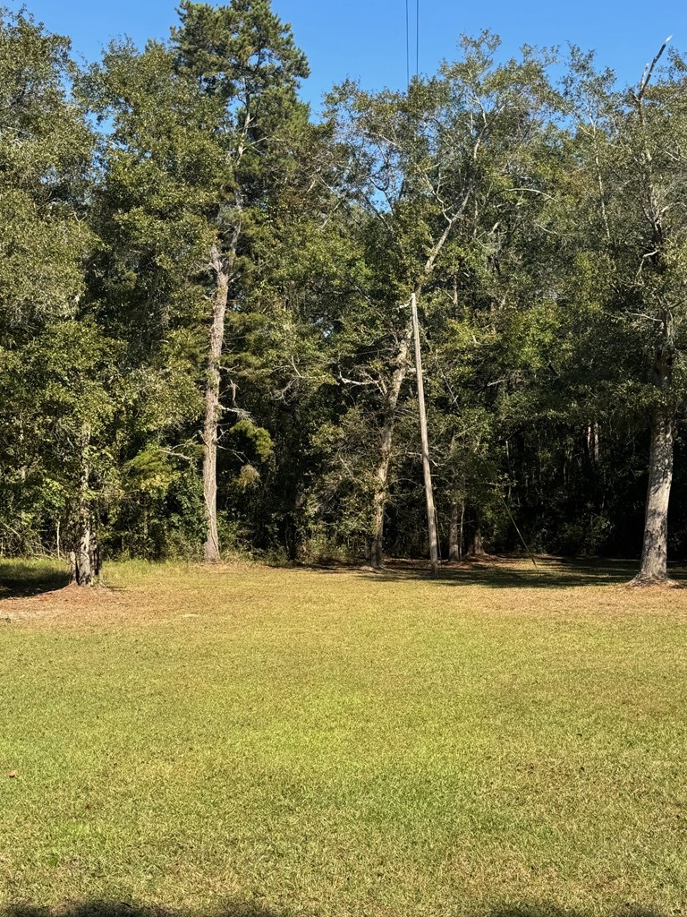 0 Russell Road Samson, AL 36477 - Photo 27 of 32