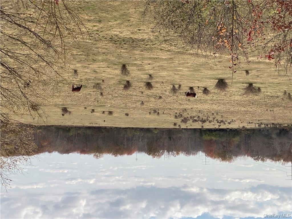 117 Hamptonburgh Road Campbell Hall, NY 10916 - Photo 15 of 18 a view of a dry yard covered with fog