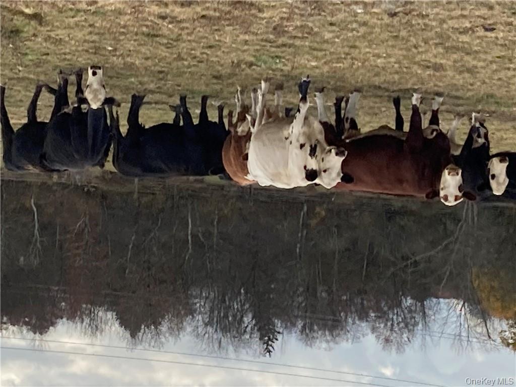 117 Hamptonburgh Road Campbell Hall, NY 10916 - Photo 7 of 18 a front view of a house with garden