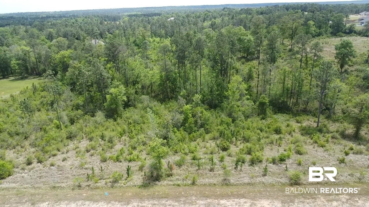 0 Hampton Road Mobile, AL 36608 - Photo 1 of 13