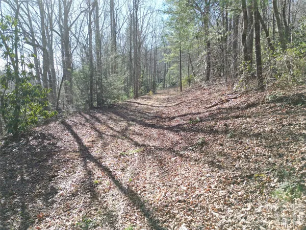 $475,000 | 49 Reeds Creek Road, Fairview, NC 28730
