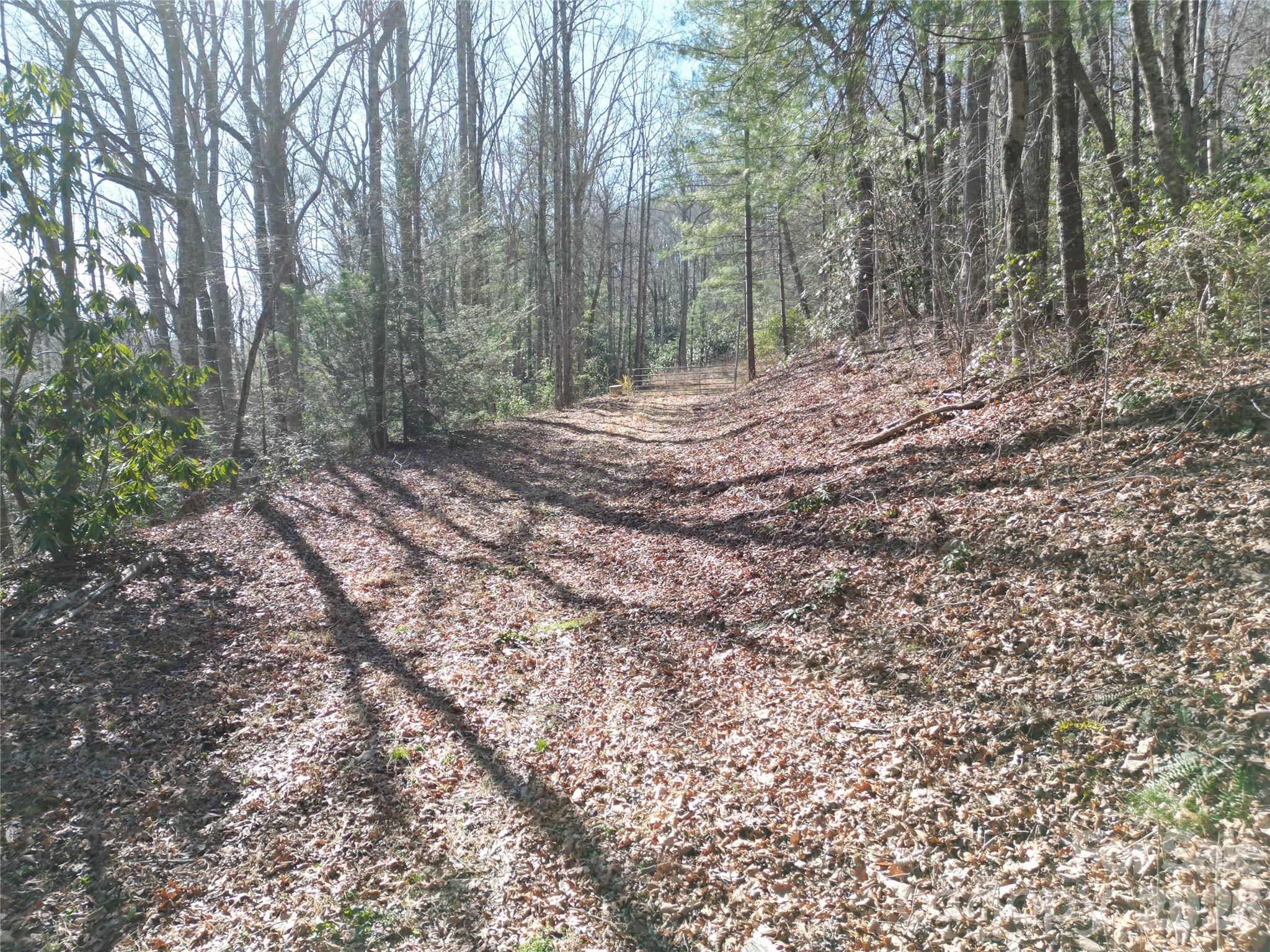 49 Reeds Creek Road Fairview, NC 28730 - Photo 2 of 10