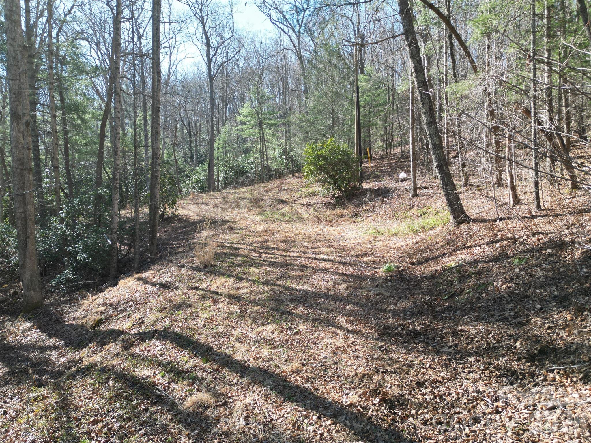 49 Reeds Creek Road Fairview, NC 28730 - Photo 3 of 10