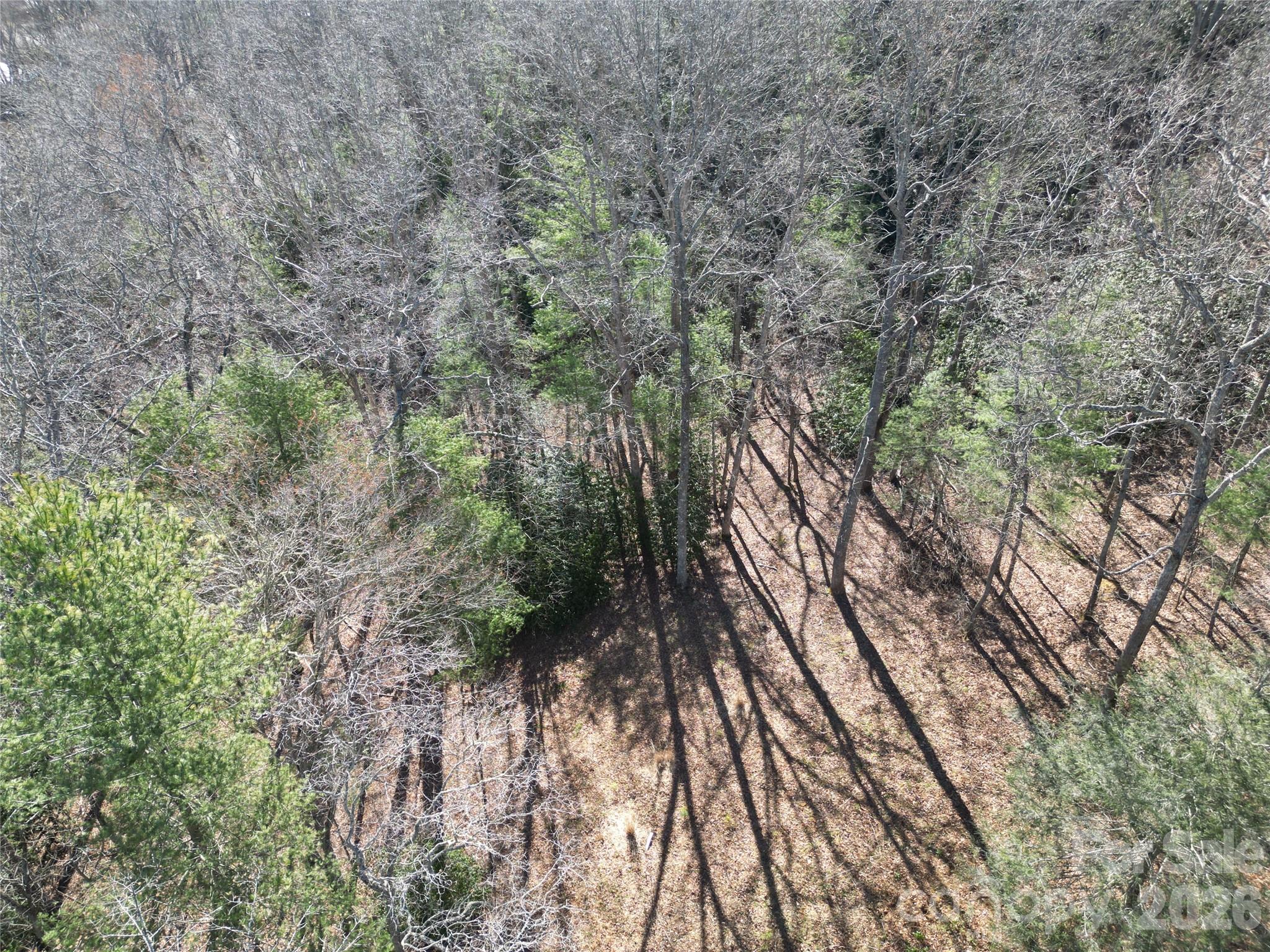 49 Reeds Creek Road Fairview, NC 28730 - Photo 4 of 10