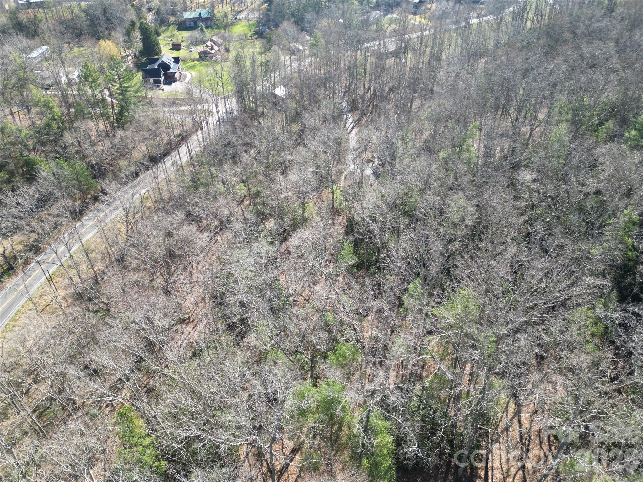 49 Reeds Creek Road Fairview, NC 28730 - Photo 5 of 10