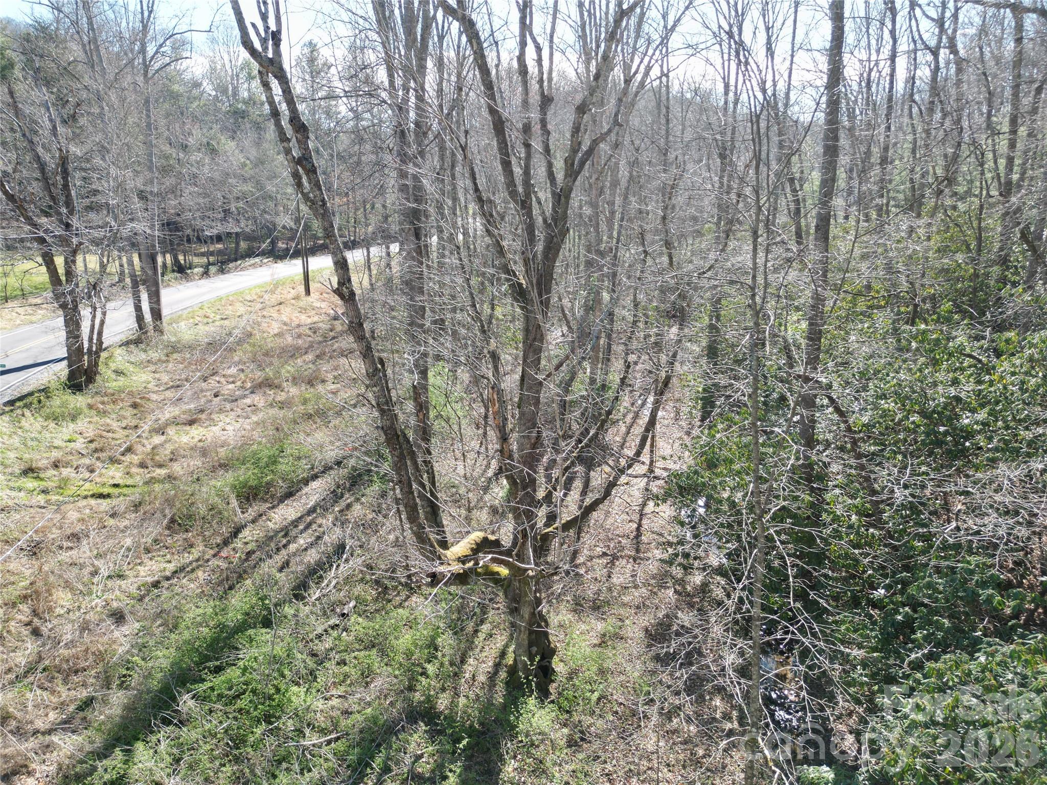 49 Reeds Creek Road Fairview, NC 28730 - Photo 6 of 10