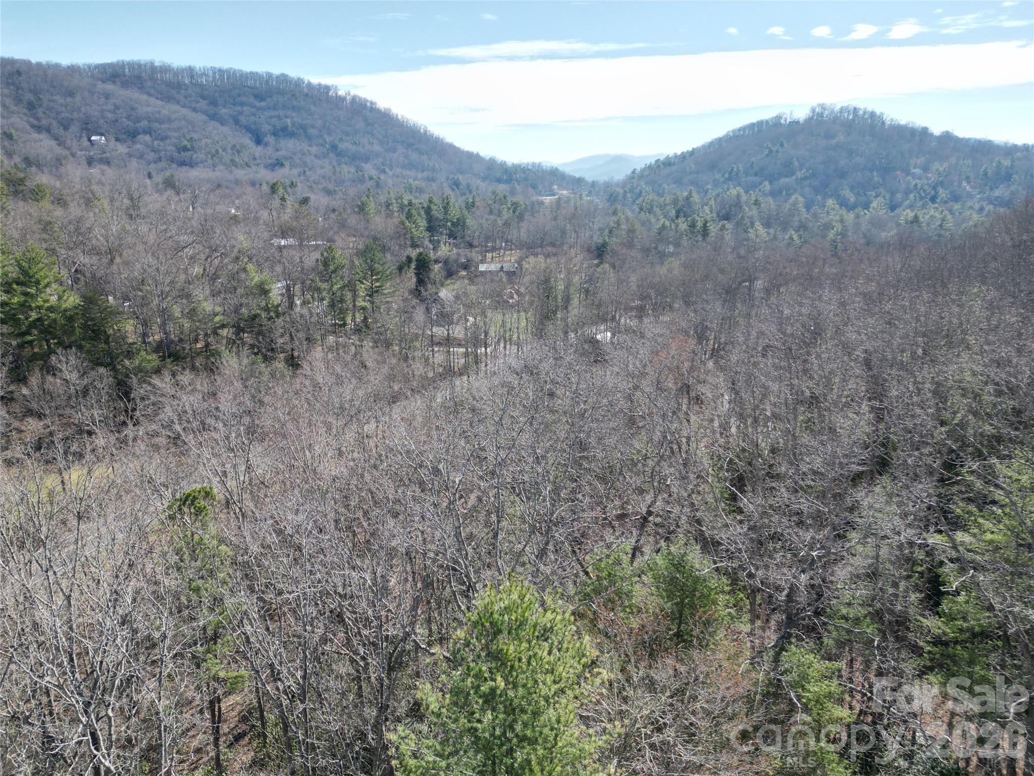 49 Reeds Creek Road Fairview, NC 28730 - Photo 8 of 10