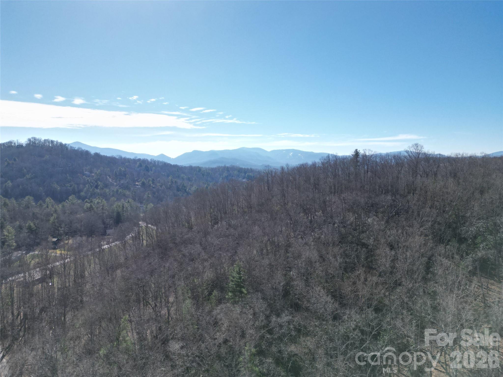 49 Reeds Creek Road Fairview, NC 28730 - Photo 9 of 10