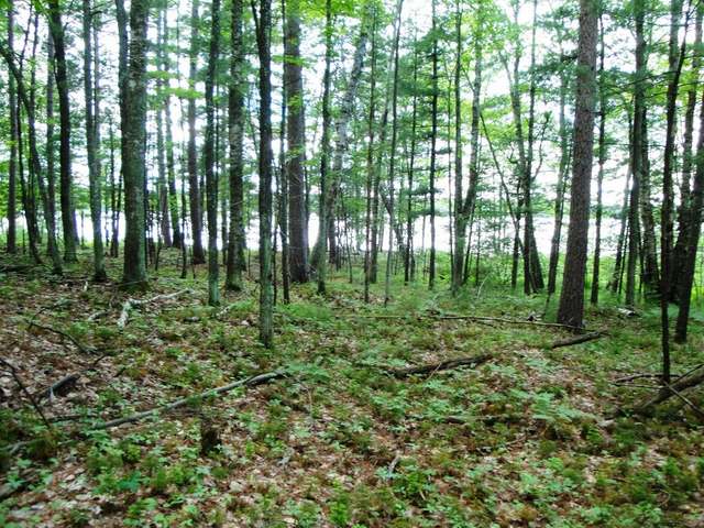 Lot 6 Eagles Bluff Road Rhinelander, WI 54501 - Photo 1 of 15 Gallery Image 1