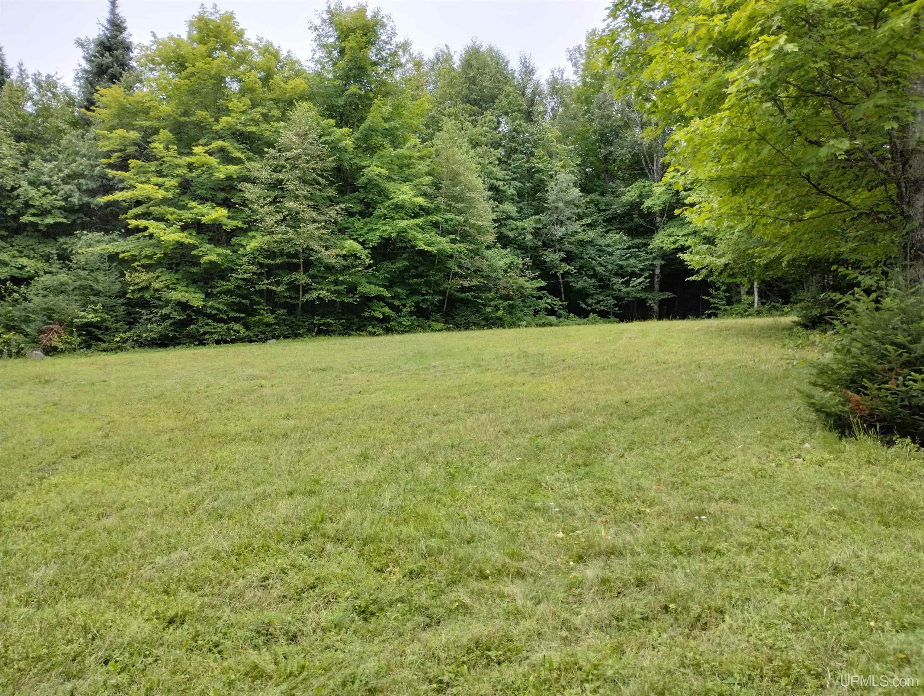 6766 Co Road, Unit ALSO KNOWN AS BLACKHILL S Champion, MI 49814 - Photo 54 of 80