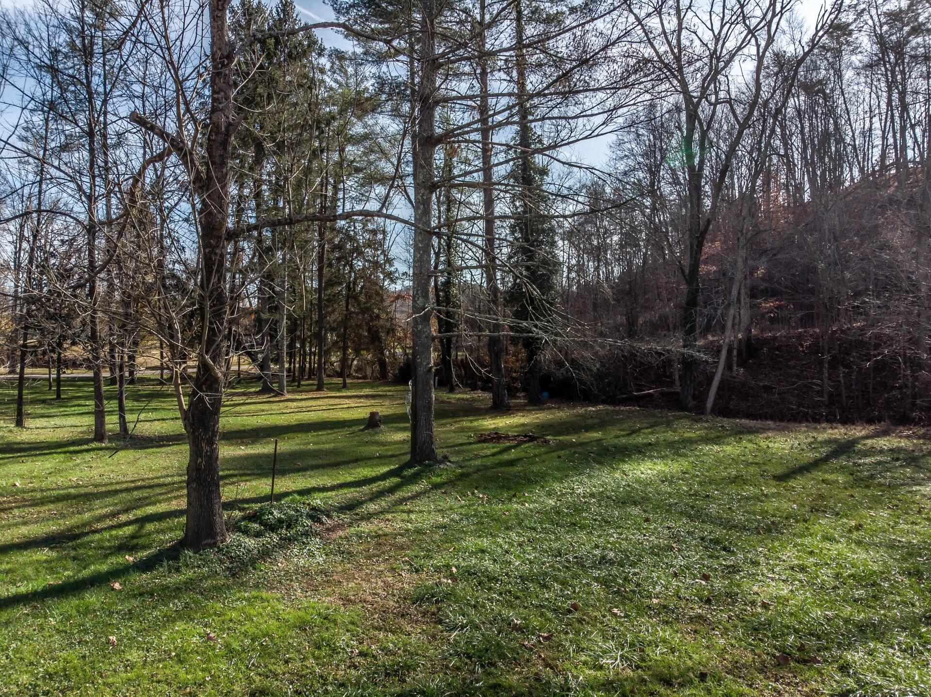 2000 Diana Road Kingsport, TN 37660 - Photo 57 of 57 2000DianaKpt_070
