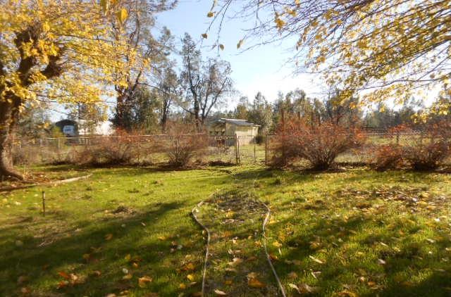 15775 Cloverdale Road Anderson, CA 96007 - Photo 15 of 17 DSCN0739