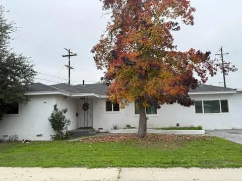 a view of a white house with a yard and a large tree