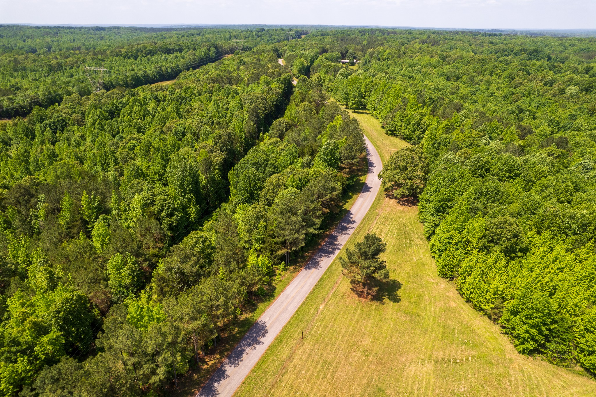 0 Pearson Road Cedar Grove, TN 38321 - Photo 10 of 21