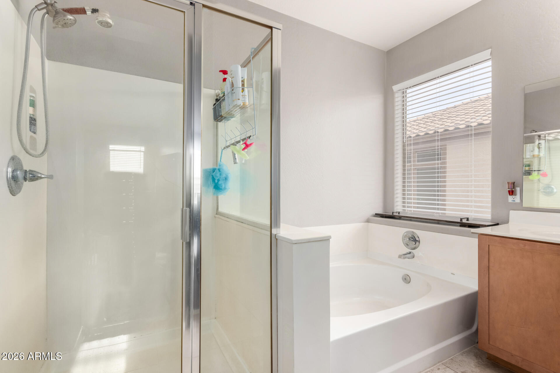 25828 North Desert Mesa Drive Surprise, AZ 85387 - Photo 20 of 37 a bathroom with a bathtub and a shower