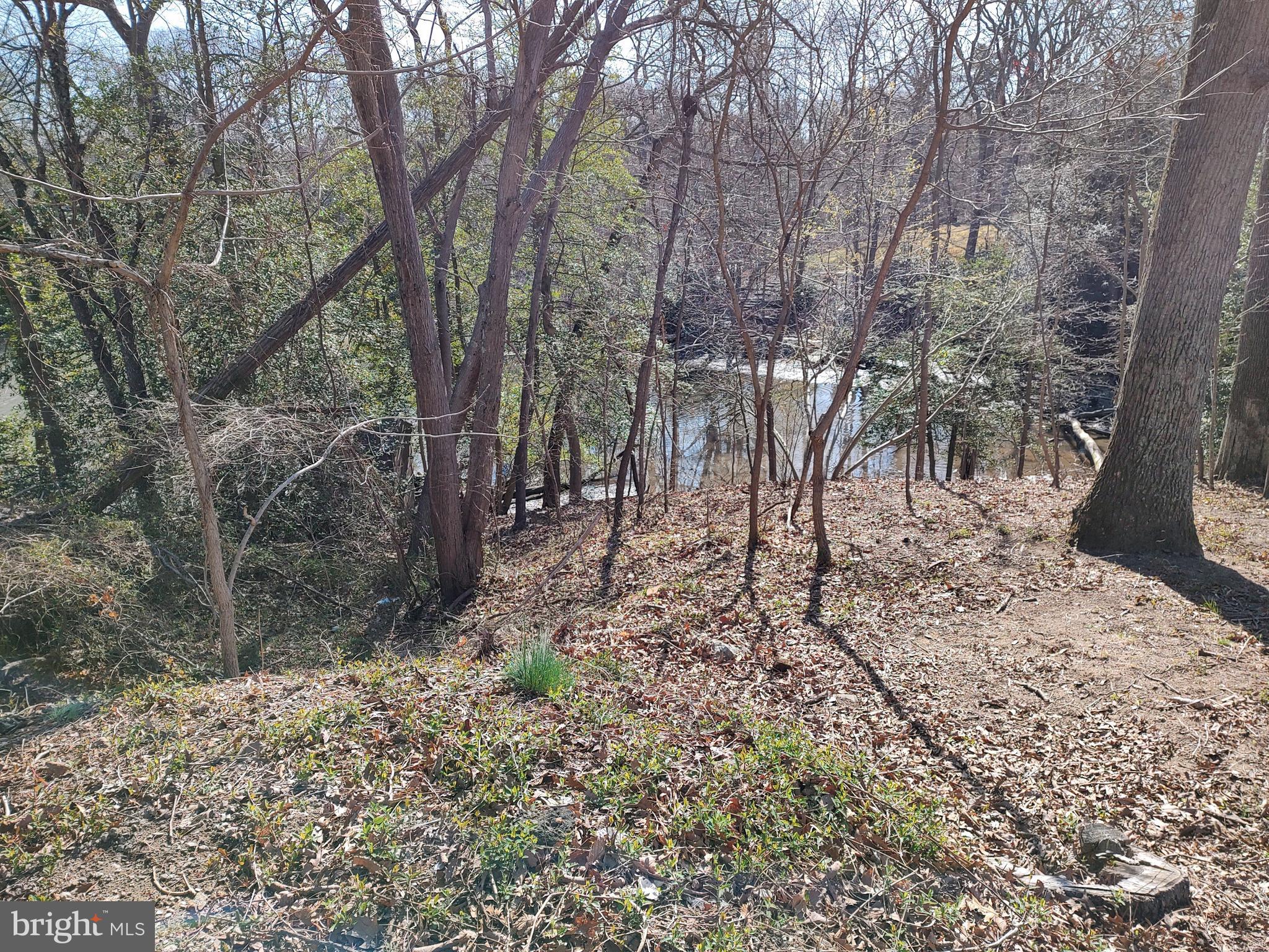 1342 Edna Road Pasadena, MD 21122 - Photo 3 of 3 Woods to the water