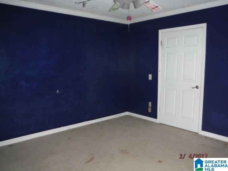 4260 County Road 29 Oneonta, AL 35121 - Photo 15 of 37