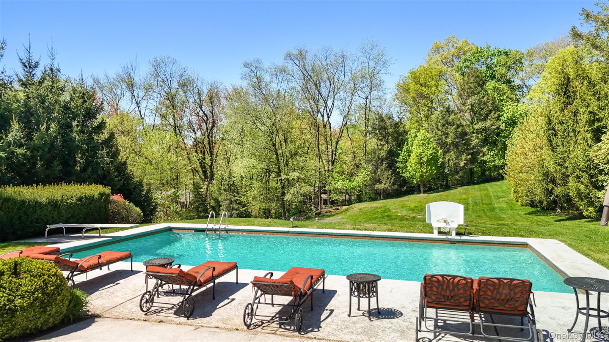 33 Hillandale Road Rye Brook, NY 10573 - Photo 28 of 31 Pool