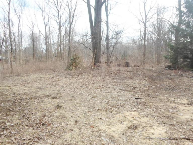 11733 Bunce Road Maybee, MI 48159 - Photo 36 of 37 Photo 36