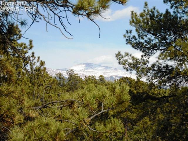 1170 Doe Valley Road Guffey, CO 80820 - Photo 2 of 14 Pikes Peak to the east