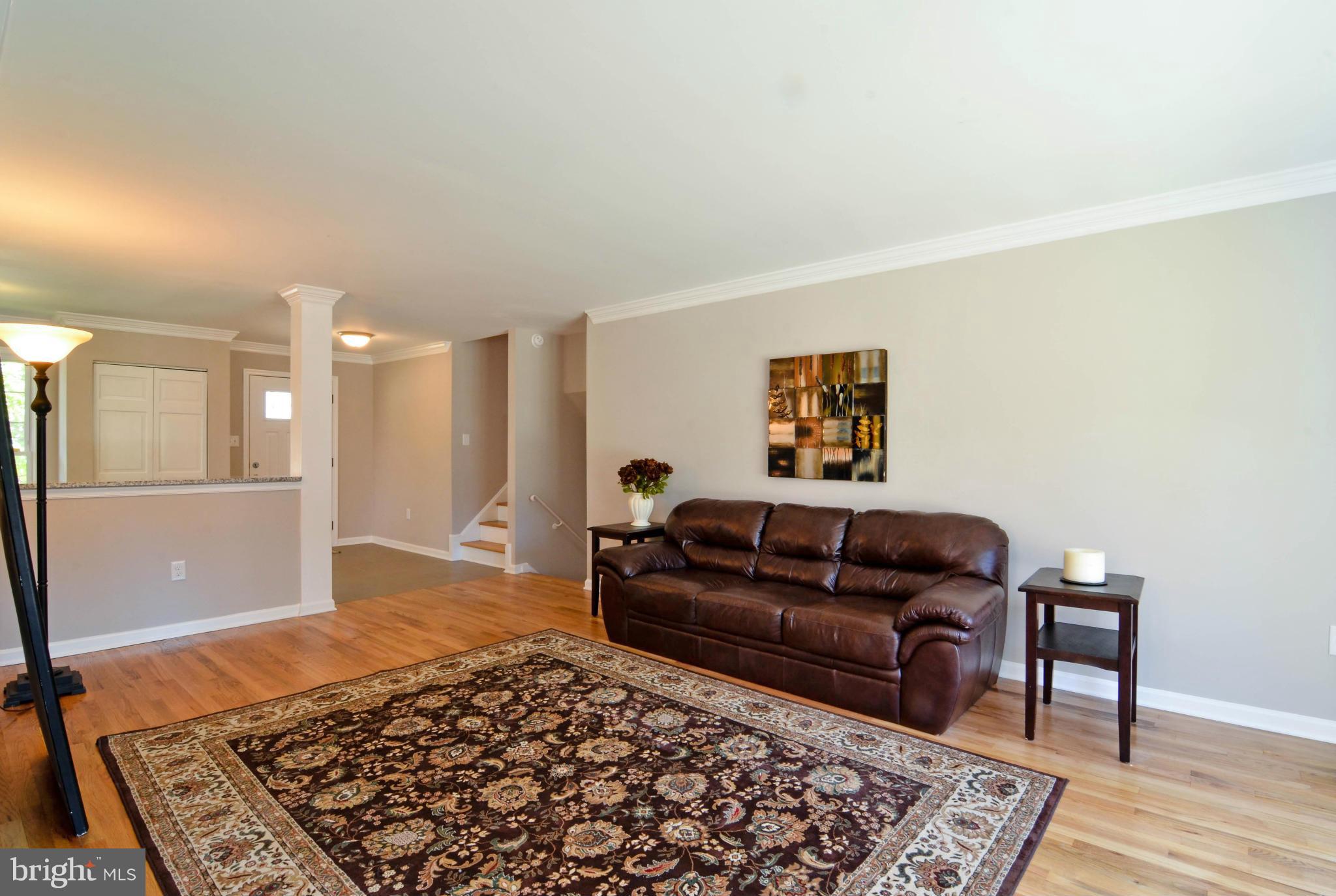 13310 Tamarack Road Silver Spring, MD 20904 - Photo 9 of 30 a living room with a couch and a rug