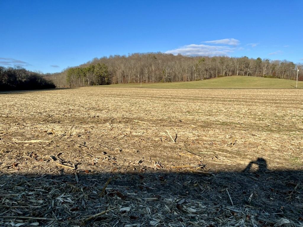Tbd Watterson Gap Road Surgoinsville, TN 37873 - Photo 3 of 11 3