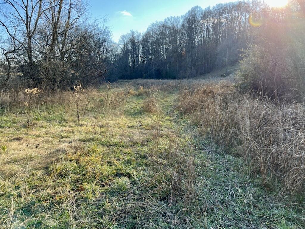 Tbd Watterson Gap Road Surgoinsville, TN 37873 - Photo 8 of 11 8