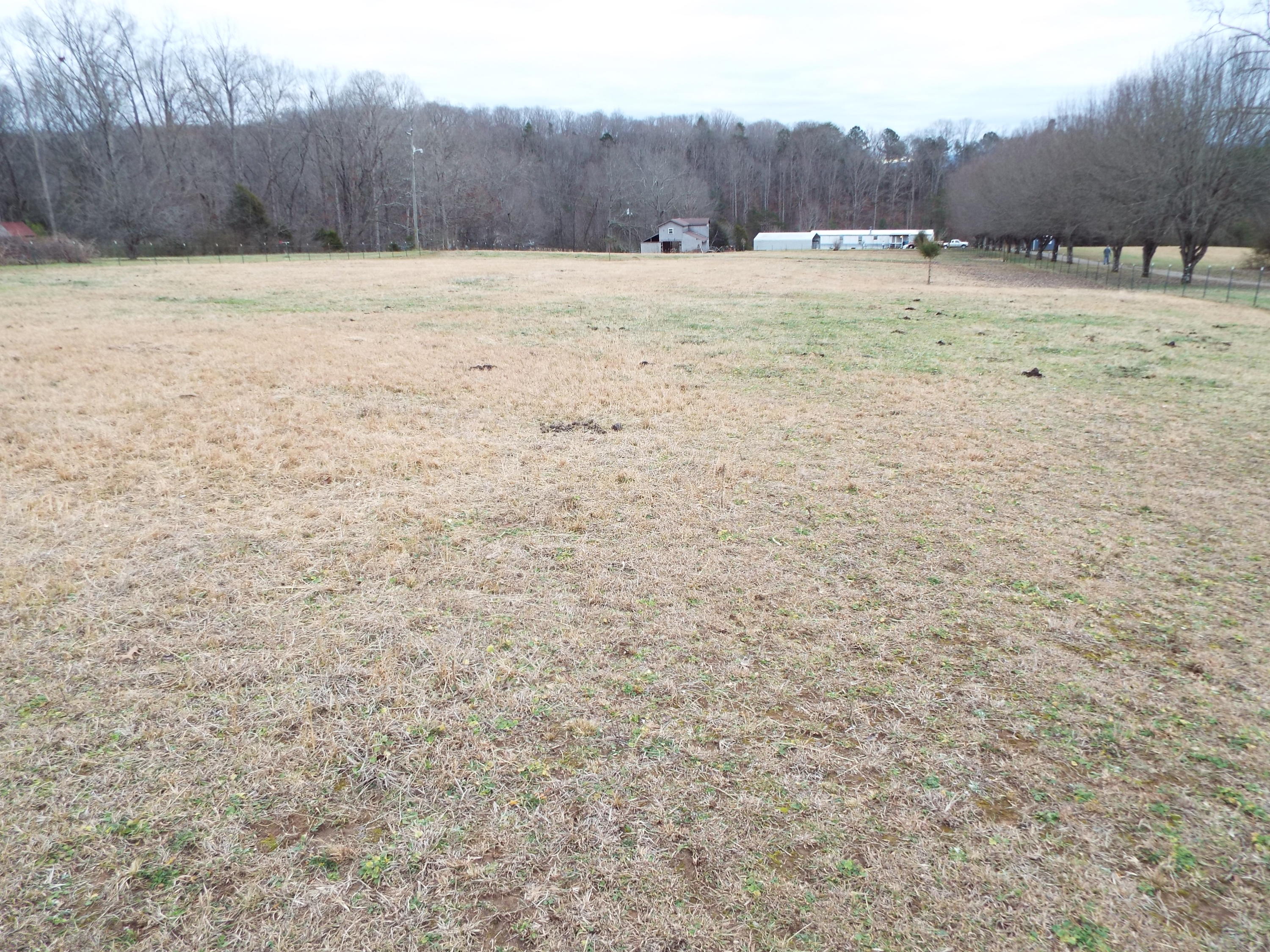 1694 Peterson Road Greenback, TN 37742 - Photo 1 of 14 DSCF0989
