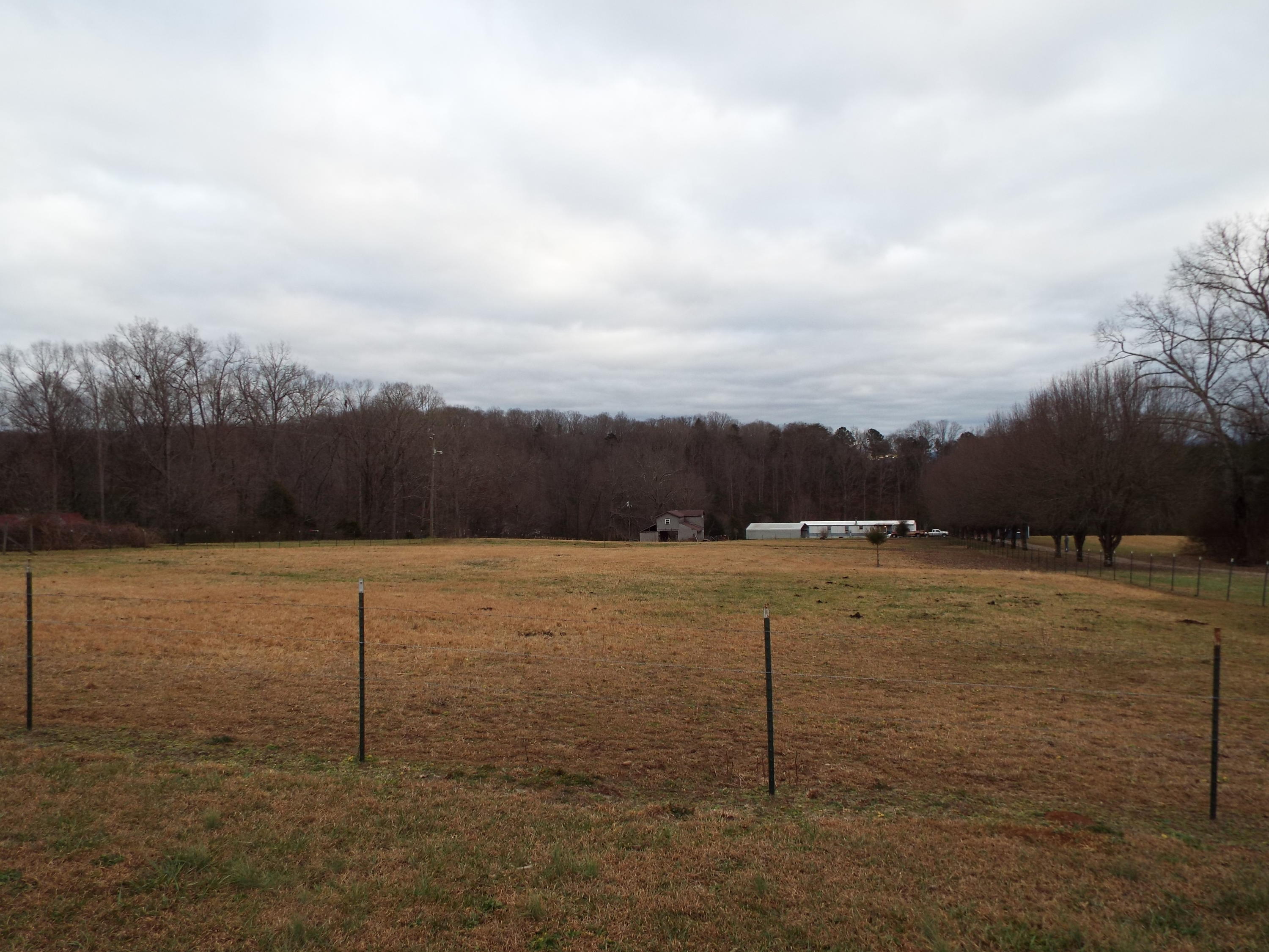 1694 Peterson Road Greenback, TN 37742 - Photo 2 of 14 DSCF0988
