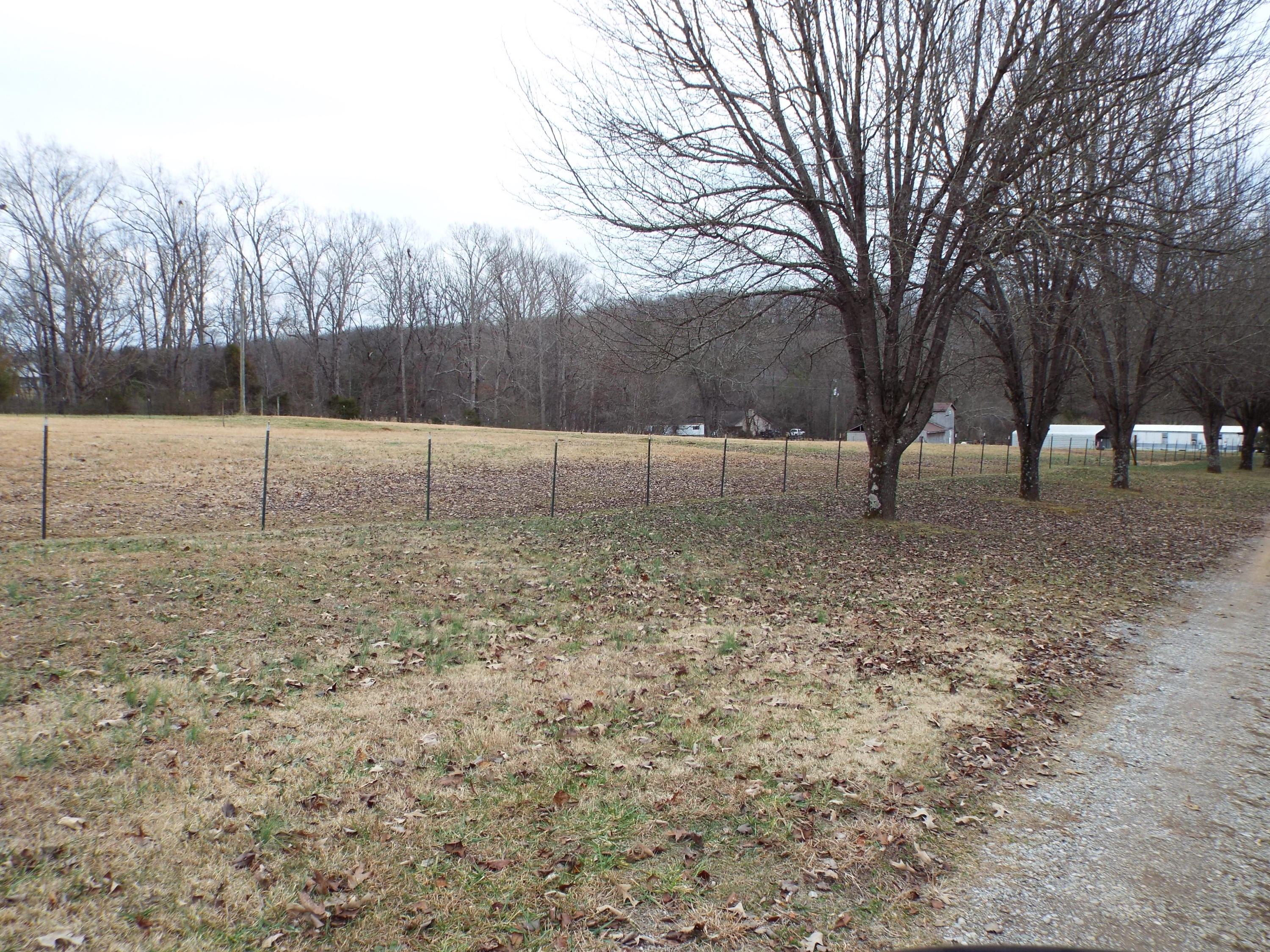 1694 Peterson Road Greenback, TN 37742 - Photo 3 of 14 DSCF0990