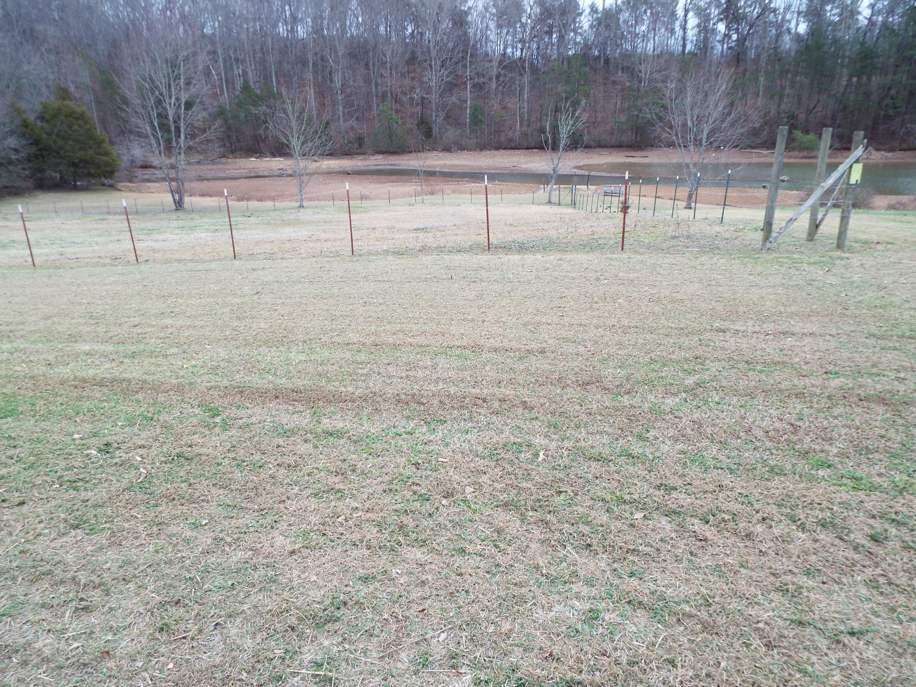 1694 Peterson Road Greenback, TN 37742 - Photo 4 of 14 DSCF0995