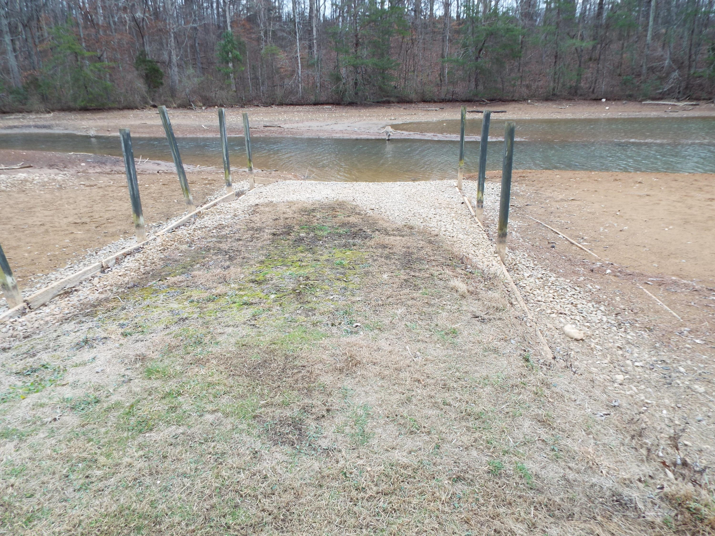1694 Peterson Road Greenback, TN 37742 - Photo 5 of 14 DSCF0996