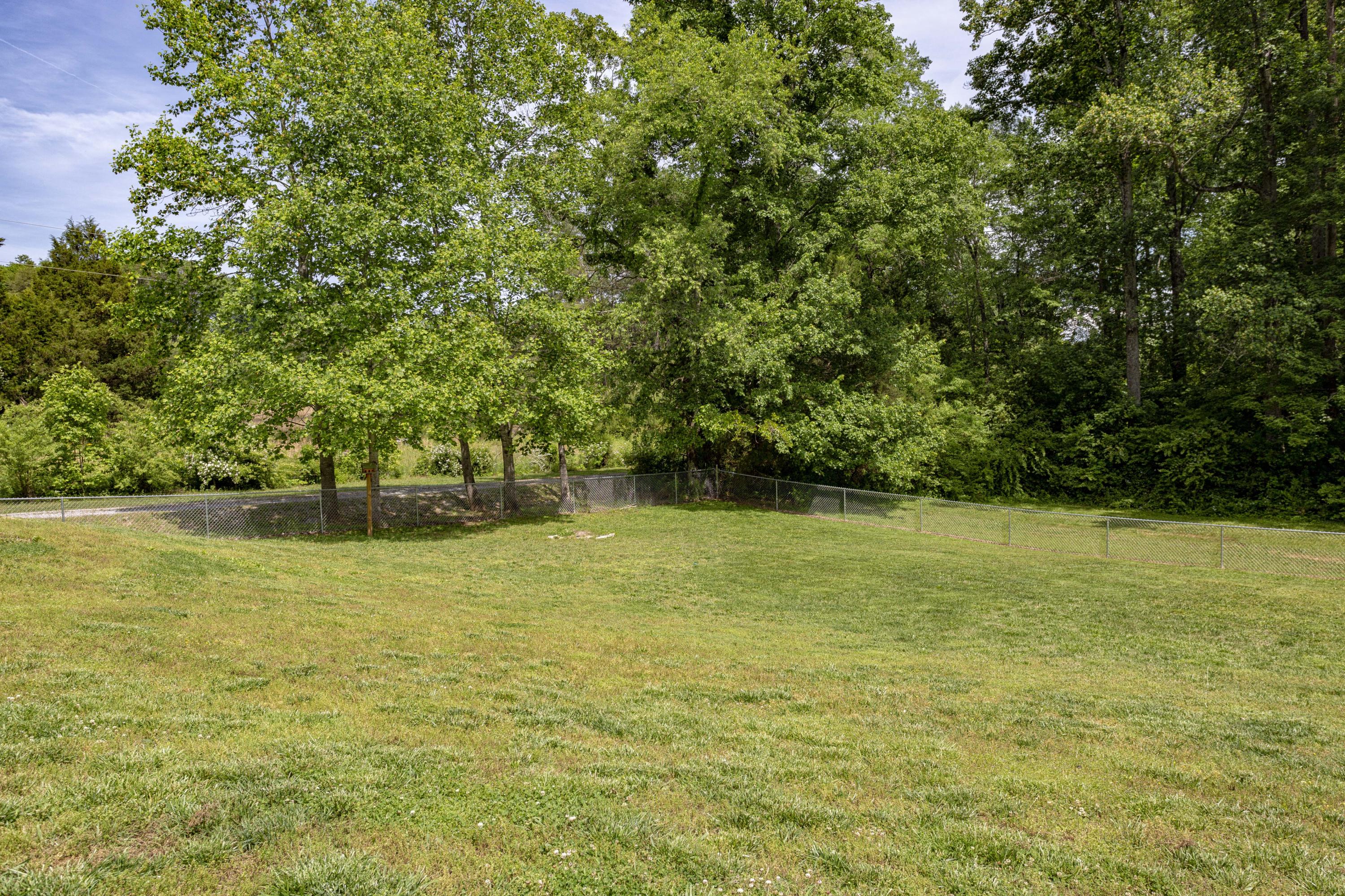 10126 Back Valley Road Evensville, TN 37332 - Photo 20 of 28 Back Yard2