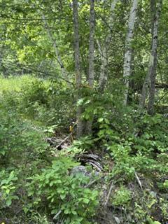 13 B Richardson Road Orrington, ME 04474 - Photo 8 of 10 IMG_0799