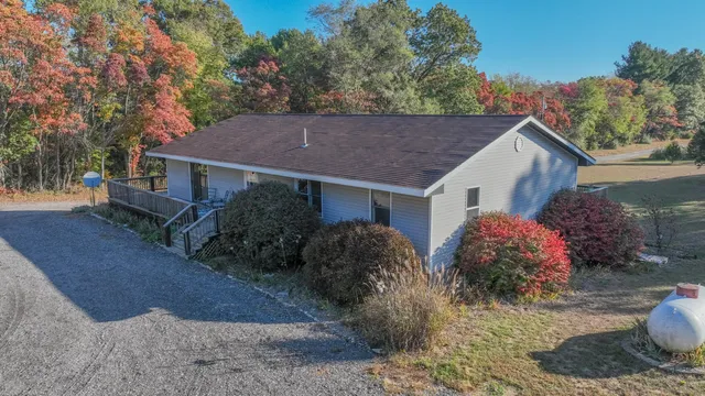 a picture of plants and tree