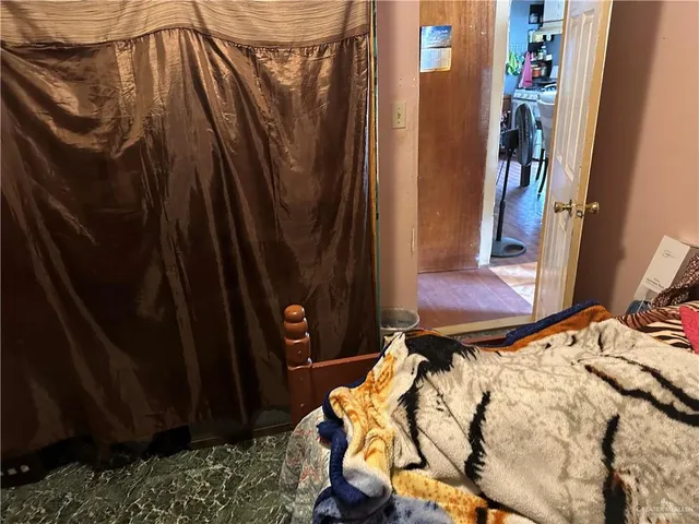 a view of a garden with a tree