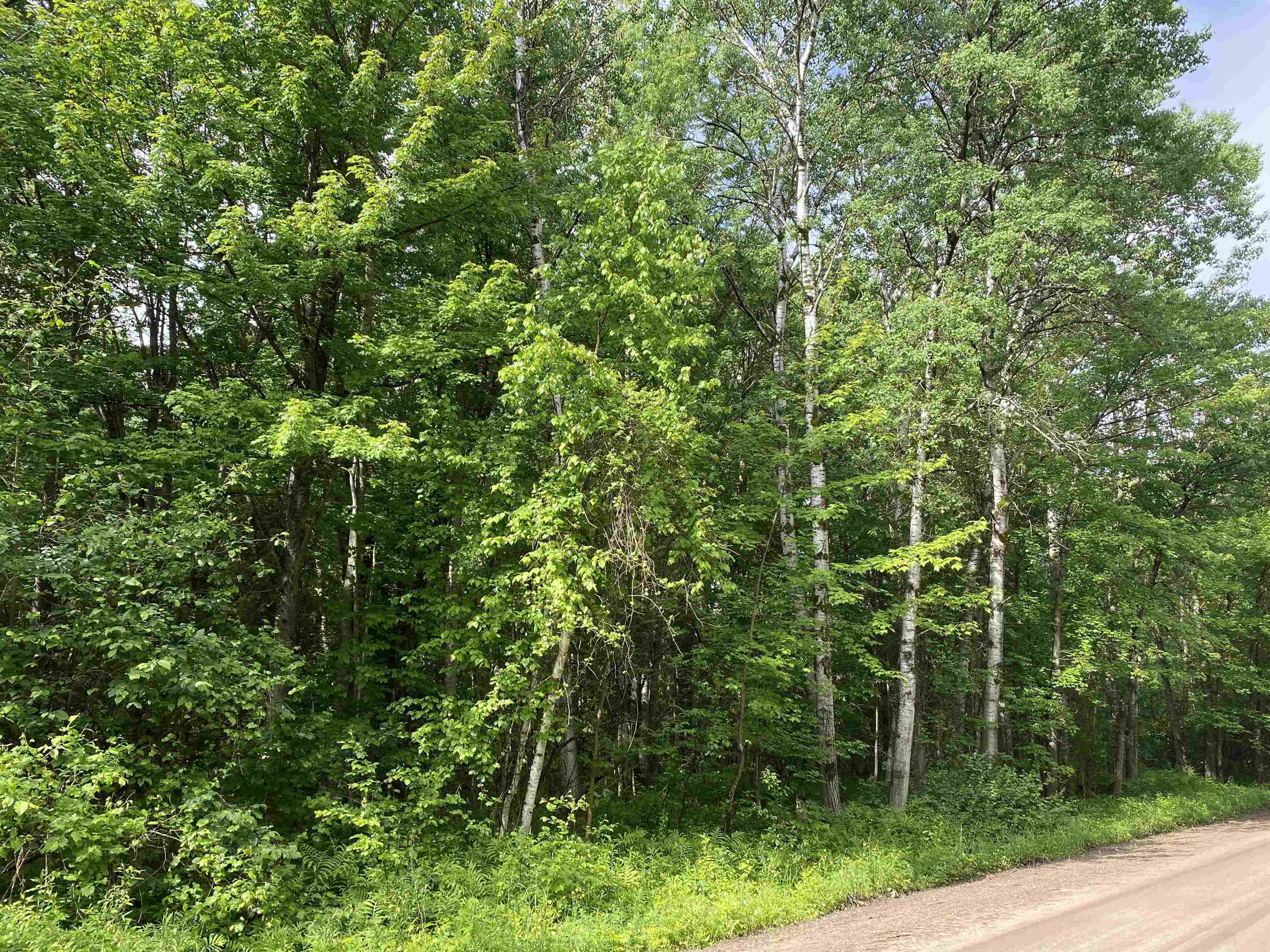 15991 Bentley Road Thompsonville, MI 49683 - Photo 7 of 19