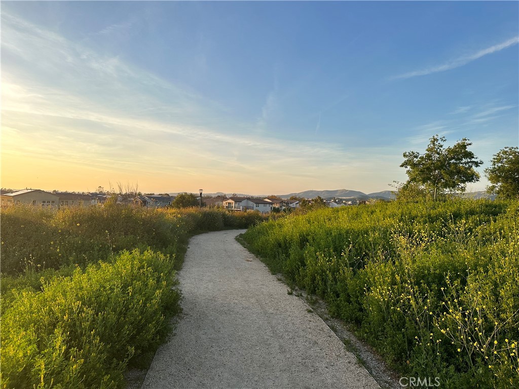 168 Perspective Irvine, CA 92618 - Photo 46 of 49 a view of a lake with a mountain in the background