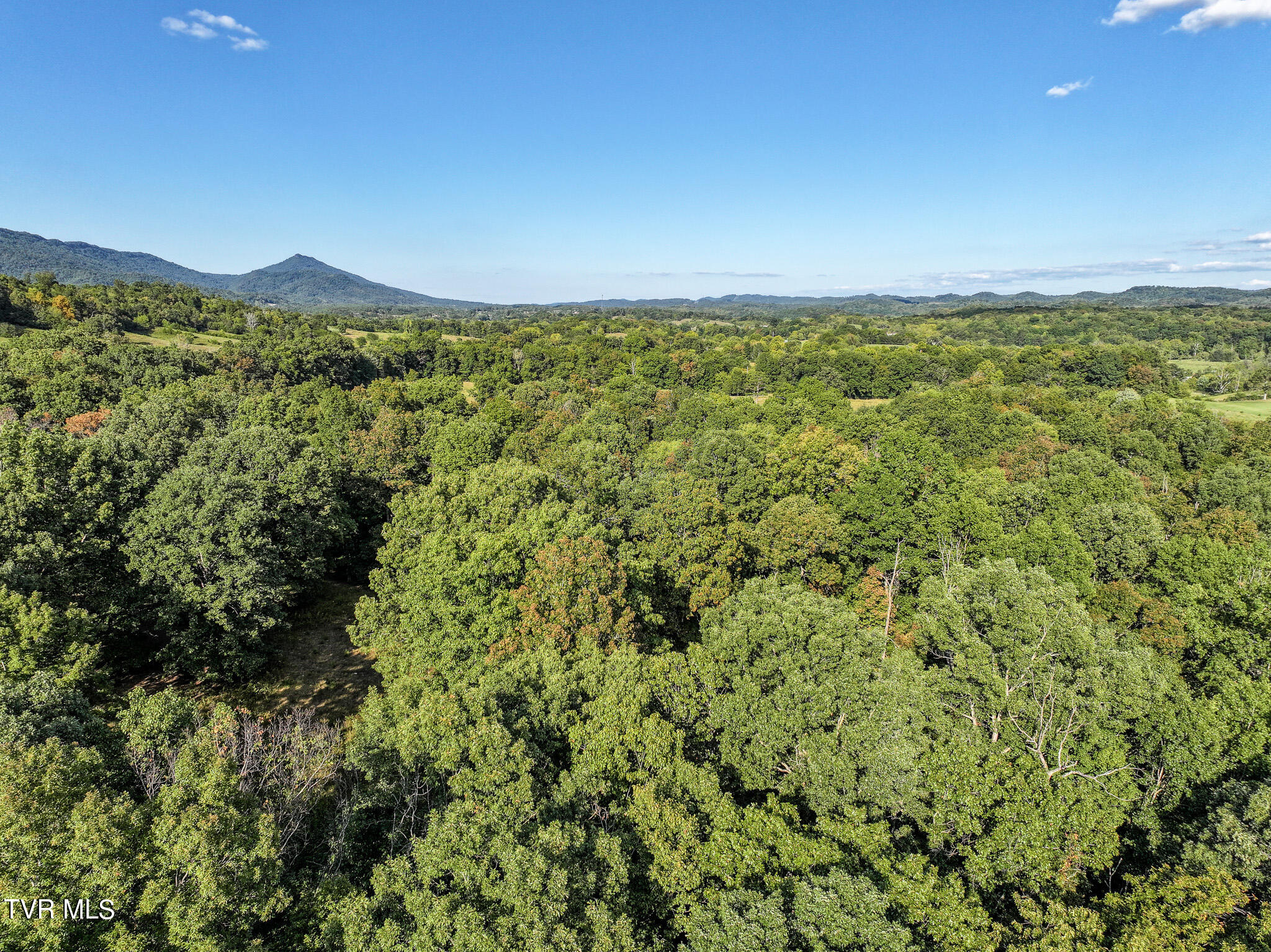 911 Weems Road Greeneville, TN 37745 - Photo 12 of 23 12