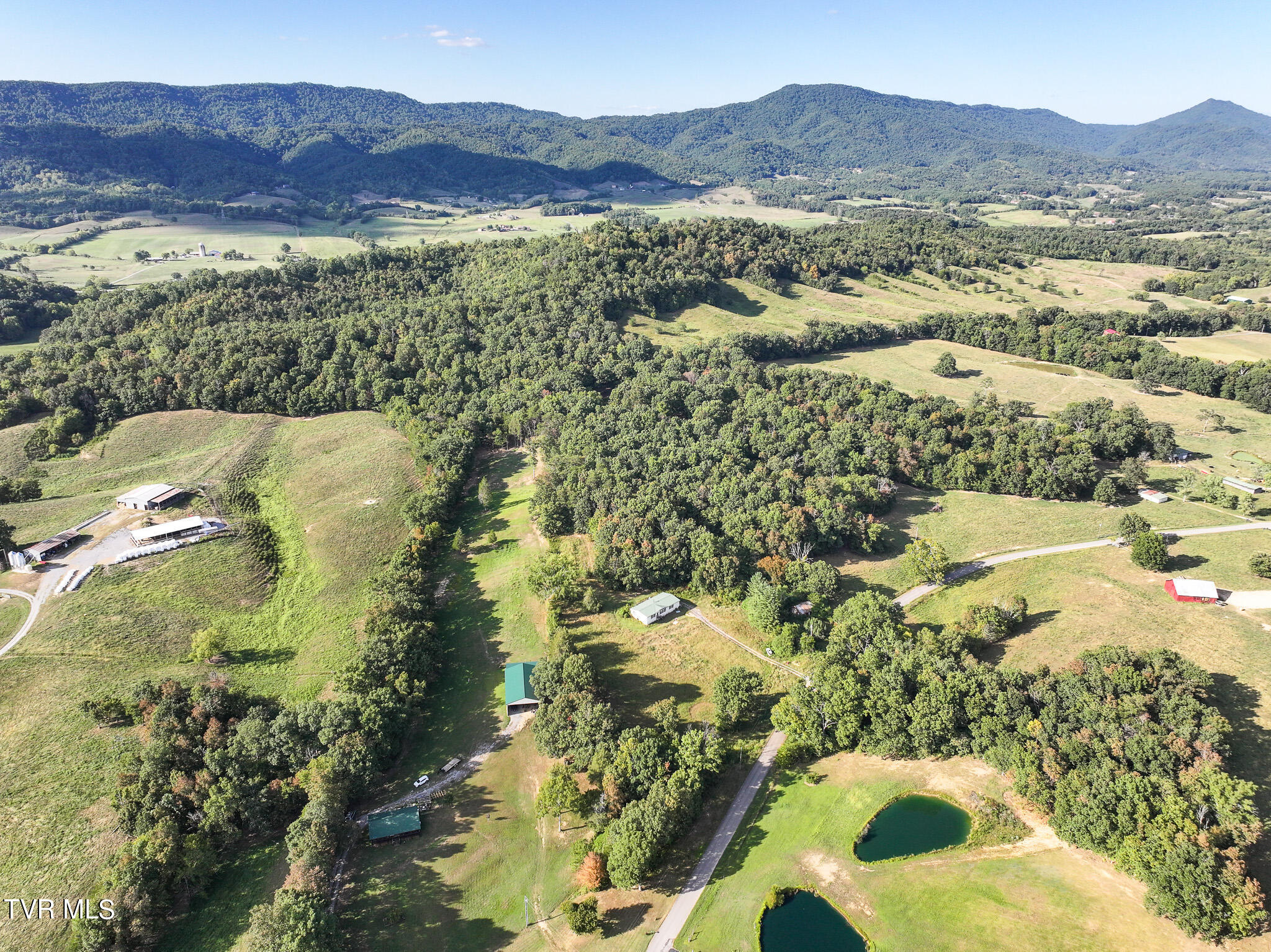 911 Weems Road Greeneville, TN 37745 - Photo 14 of 23 14