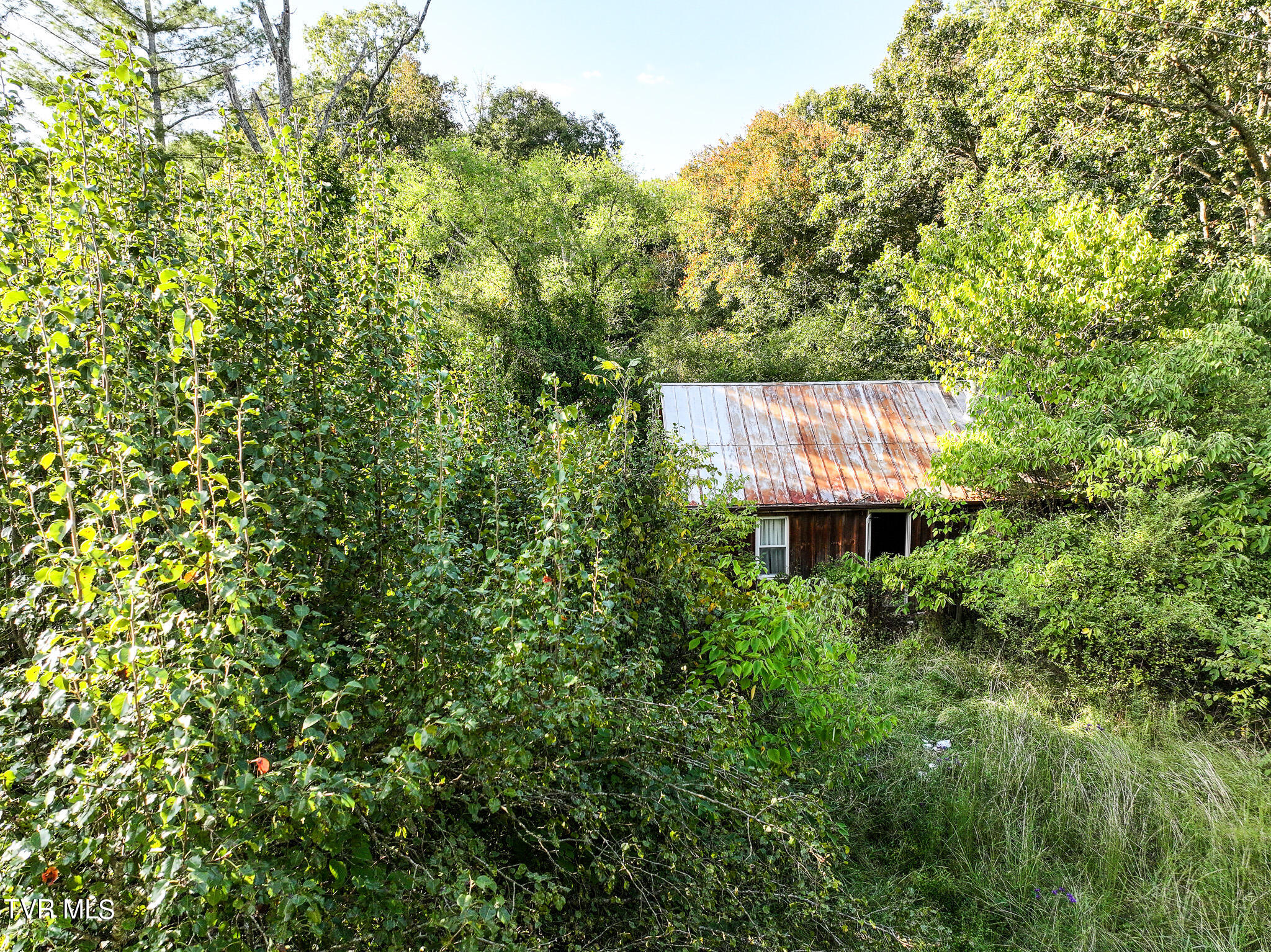 911 Weems Road Greeneville, TN 37745 - Photo 7 of 23 7