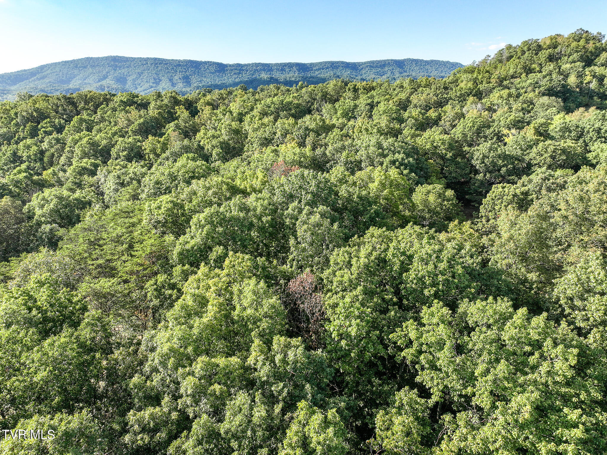 911 Weems Road Greeneville, TN 37745 - Photo 8 of 23 8